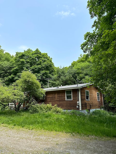 Private cabin on five acres close to town