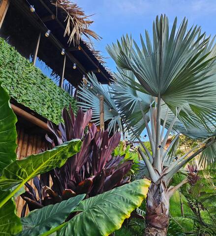 Jardin Del Edén managed Airbnb listing 2