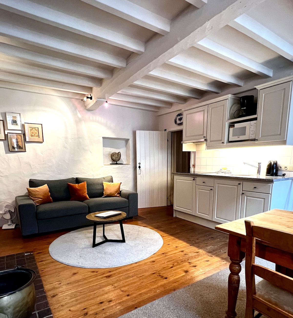 A welcoming living area features a dark sofa adorned with orange accent pillows, paired with a circular coffee table on a soft area rug. A compact kitchen with modern appliances is visible, complemented by light cabinetry and warm wooden flooring.