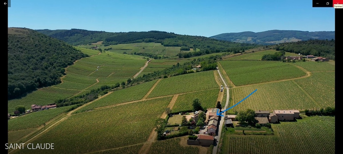 An aerial view captures the expansive vineyards of Saint-Véran, featuring neatly aligned rows of grapevines. The well-maintained road runs through the countryside, leading to compact buildings surrounded by lush greenery, creating a serene agricultural landscape.