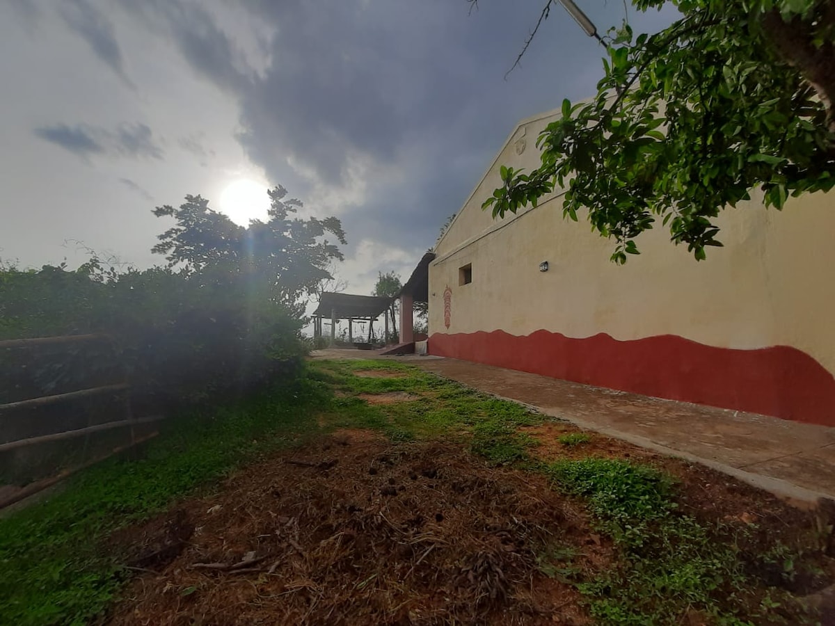 A view of the cottage exterior surrounded by greenery, with a rustic pathway leading to the entrance. The sun is partially visible on the horizon, providing natural light to the scene. A shaded seating area can be seen to the left, creating an inviting space for relaxation.