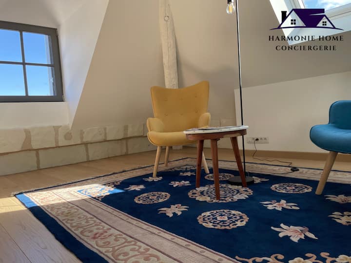 Magnifique Appartement Au Cœur D’amboise - Amboise