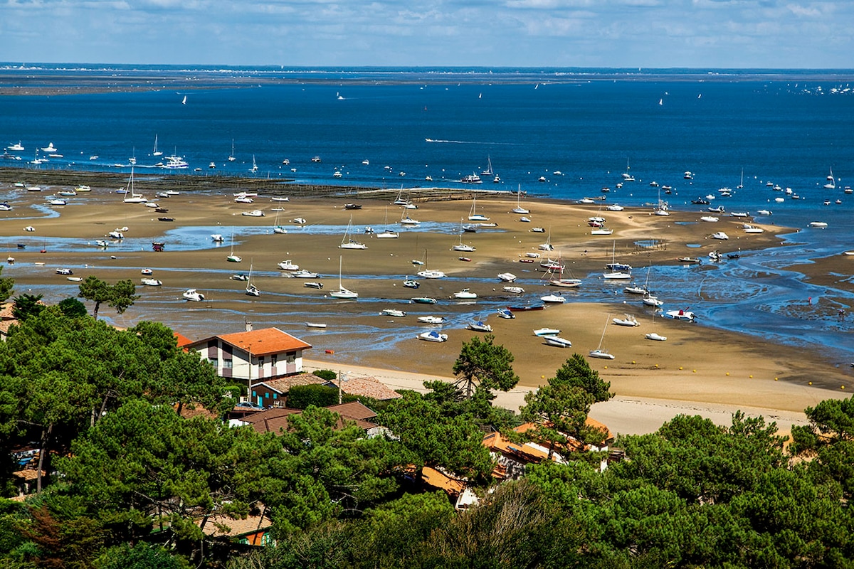 A panoramic view showcases a serene coastal landscape. Boats are anchored in shallow waters, with sandy stretches lining the shore. Lush greenery rises in the foreground, complementing the tranquil blue sea under a partly cloudy sky.