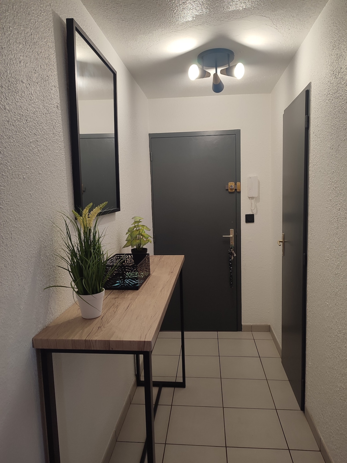 Top Airbnb: #Le Felix-ible# Comfortable 2-room apartment for 4 people, center in Bourgoin Jallieu