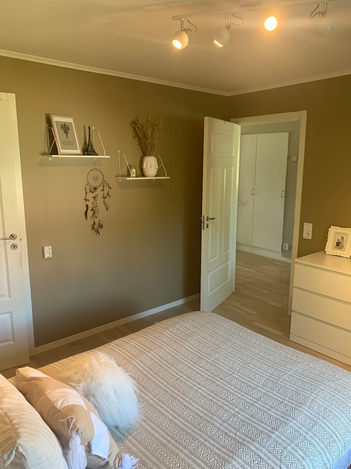 Quarto 2