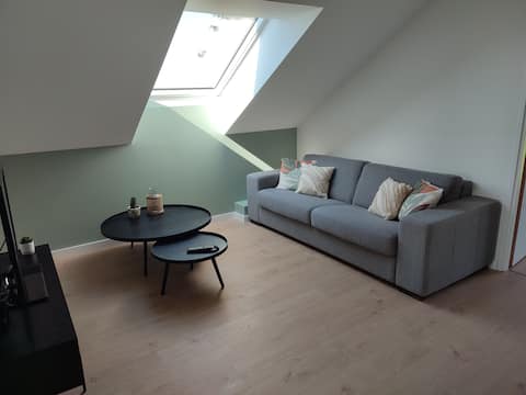 Top Airbnb: Nice 90 m2 apartment in a house in Thonon Les Bains