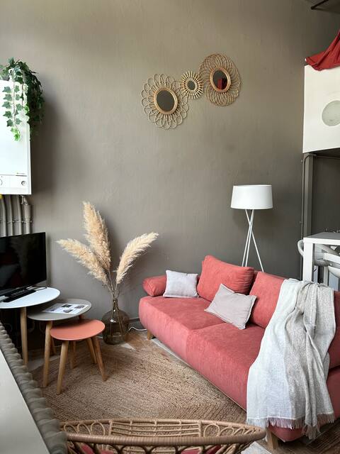La Cabane Limougeaude  | Wifi | free parking
