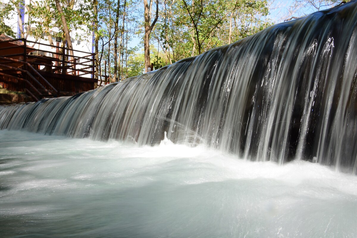 A gentle waterfall cascades over a rocky ledge, creating a mesmerizing blend of clear water and lively motion. Surrounding trees provide a natural frame, enhancing the tranquil scene with dappled sunlight filtering through the leaves.