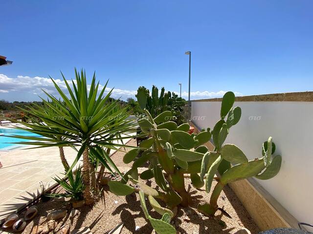 Villa La Palmerale gallery image 3