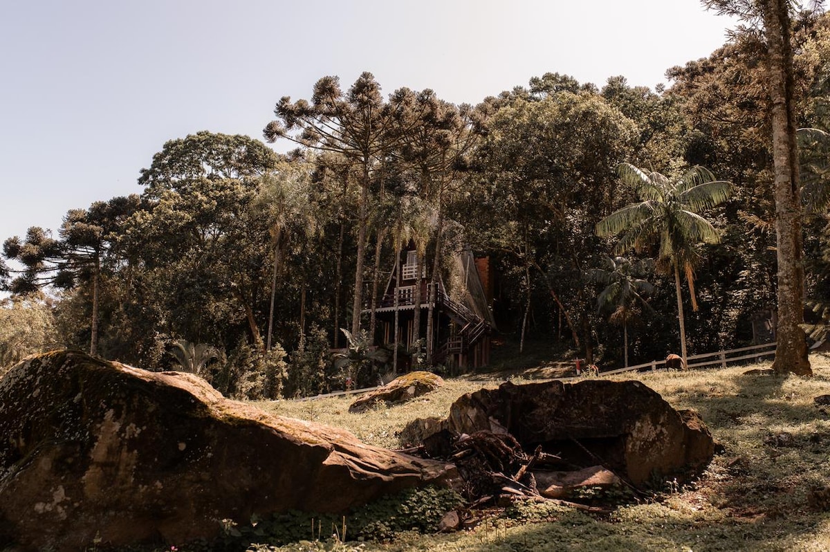 A secluded cabin is surrounded by lush greenery and towering trees. Large boulders are visible in the foreground, adding a natural element to the landscape. The cabin's rustic charm is highlighted by its wooden façade, nestled harmoniously within its serene environment.