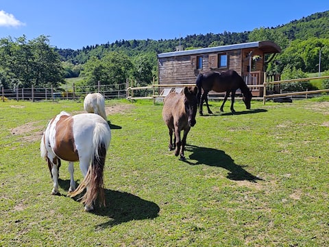 Charming caravan on the Ardèche heights