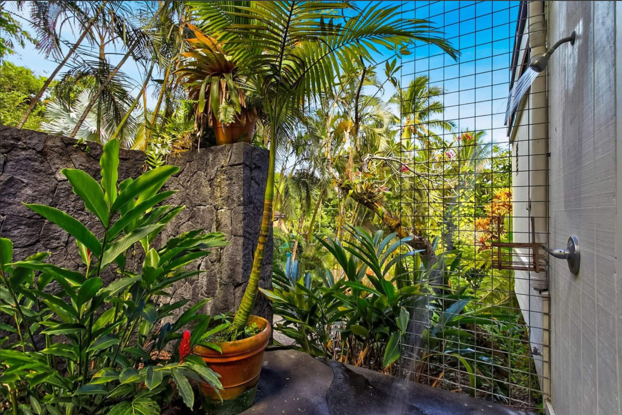 Home in Pahoa · ★4.86 · 4 bedrooms · 5 beds · 3 baths - Image 50