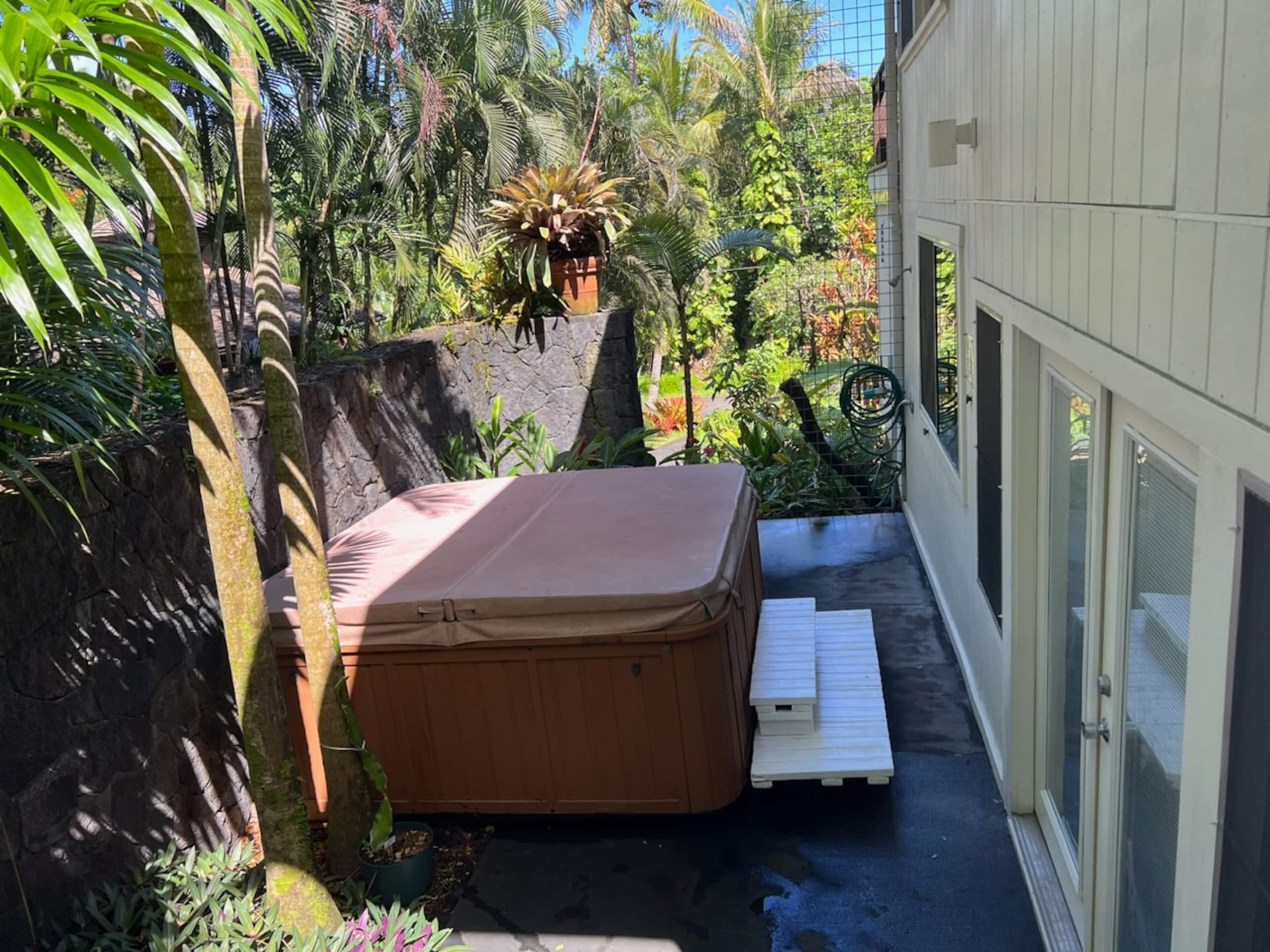 Home in Pahoa · ★4.86 · 4 bedrooms · 5 beds · 3 baths - Image 51