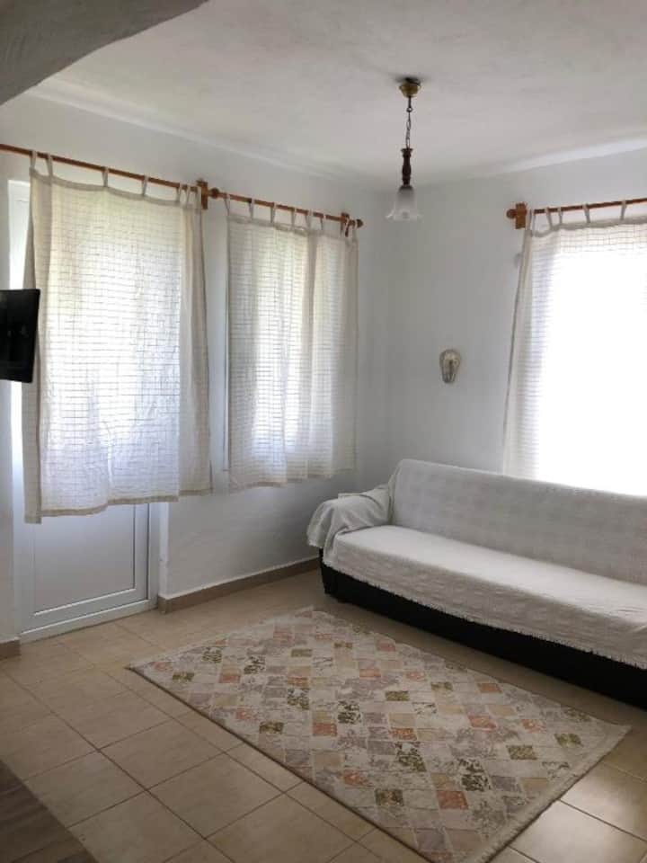 ห้องนั่งเล่นและโซฟาในห้อง