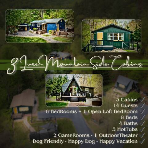 3 Luxe SNP Cabins~MountainSide~HotTubs~GameRooms
