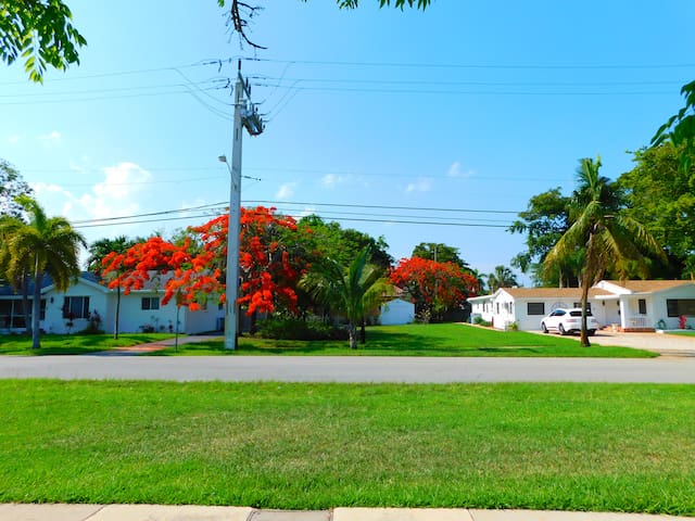 2 REAL HOMES 32,000sq ft of land 8BR,6.5ba,14bed