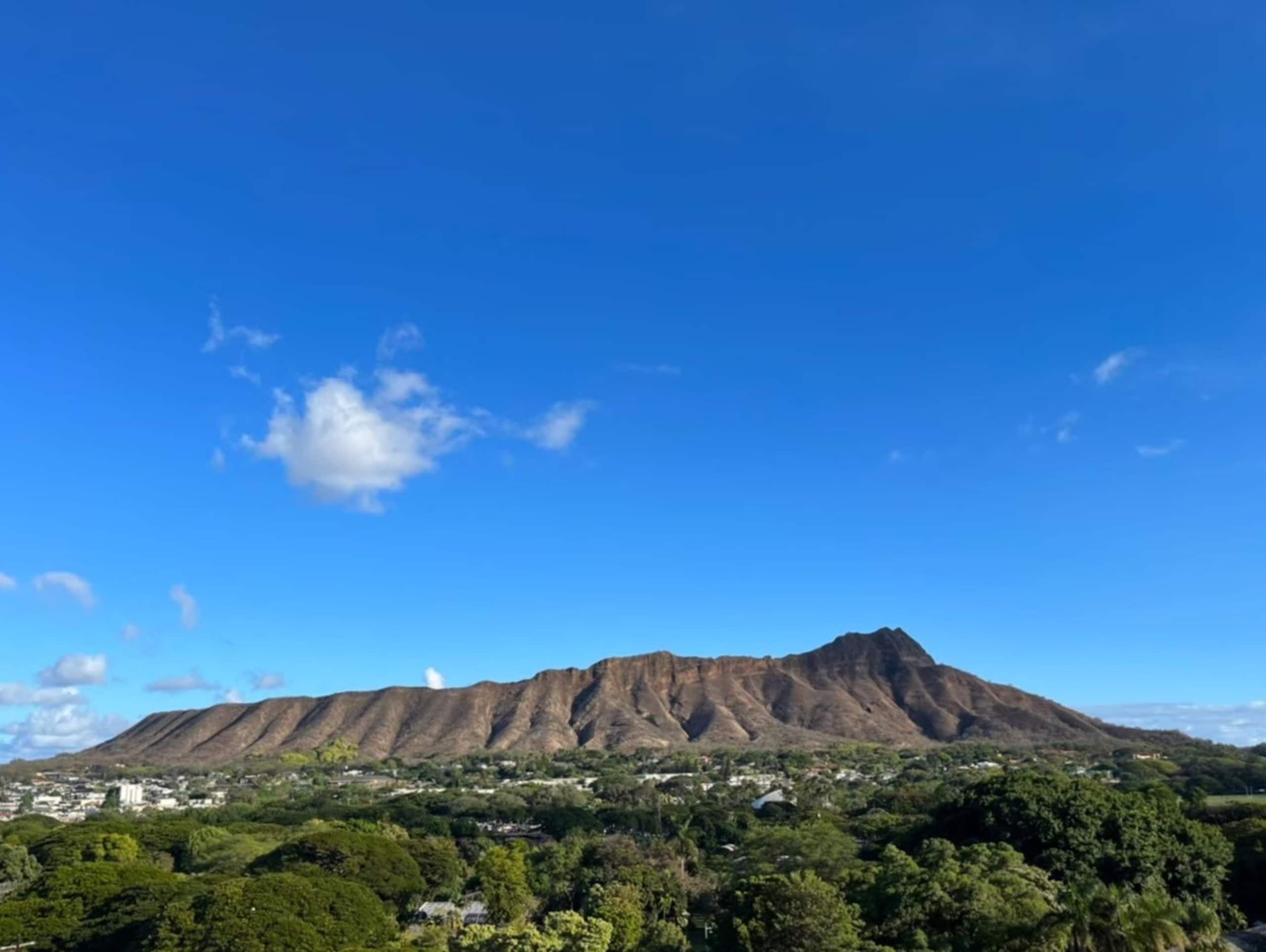 Condo in Honolulu · ★4.74 · Studio · 1 bed · 1 private bath - Image 11