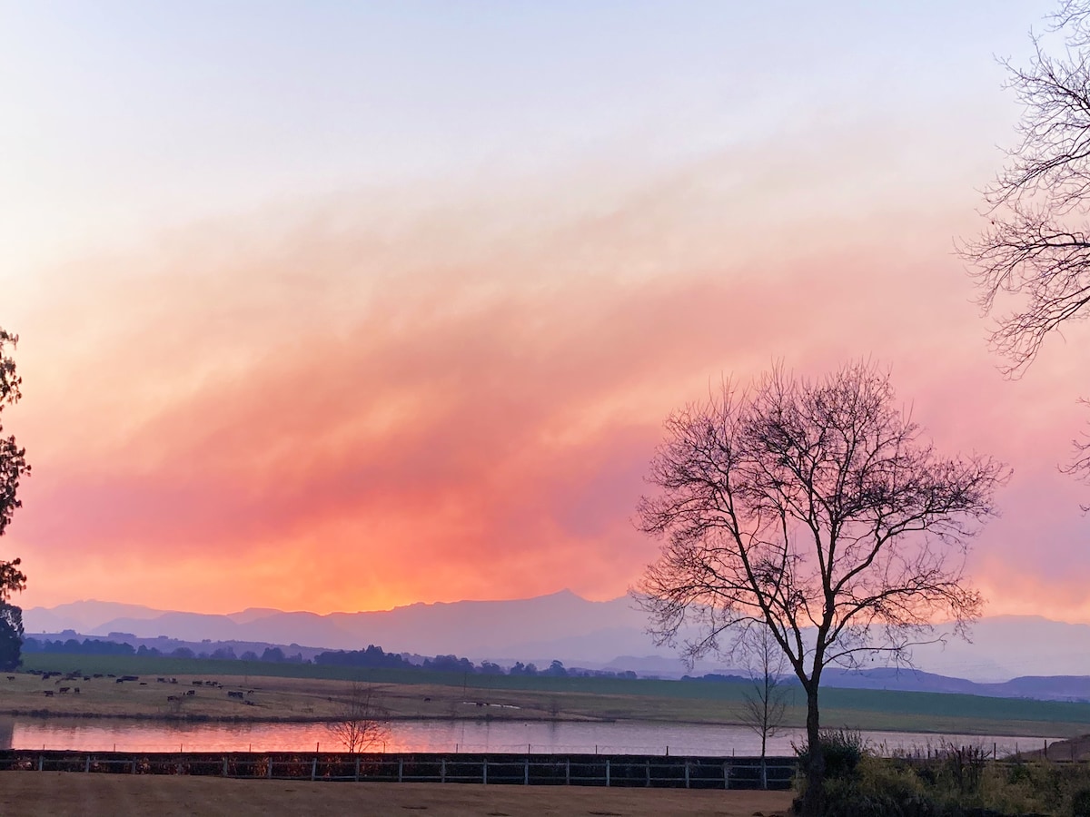 A serene landscape is presented, featuring a tranquil body of water reflecting a soft gradient of pink and purple hues from the setting sun. Silhouetted trees stand at the forefront, with distant mountains gently outlining the horizon.