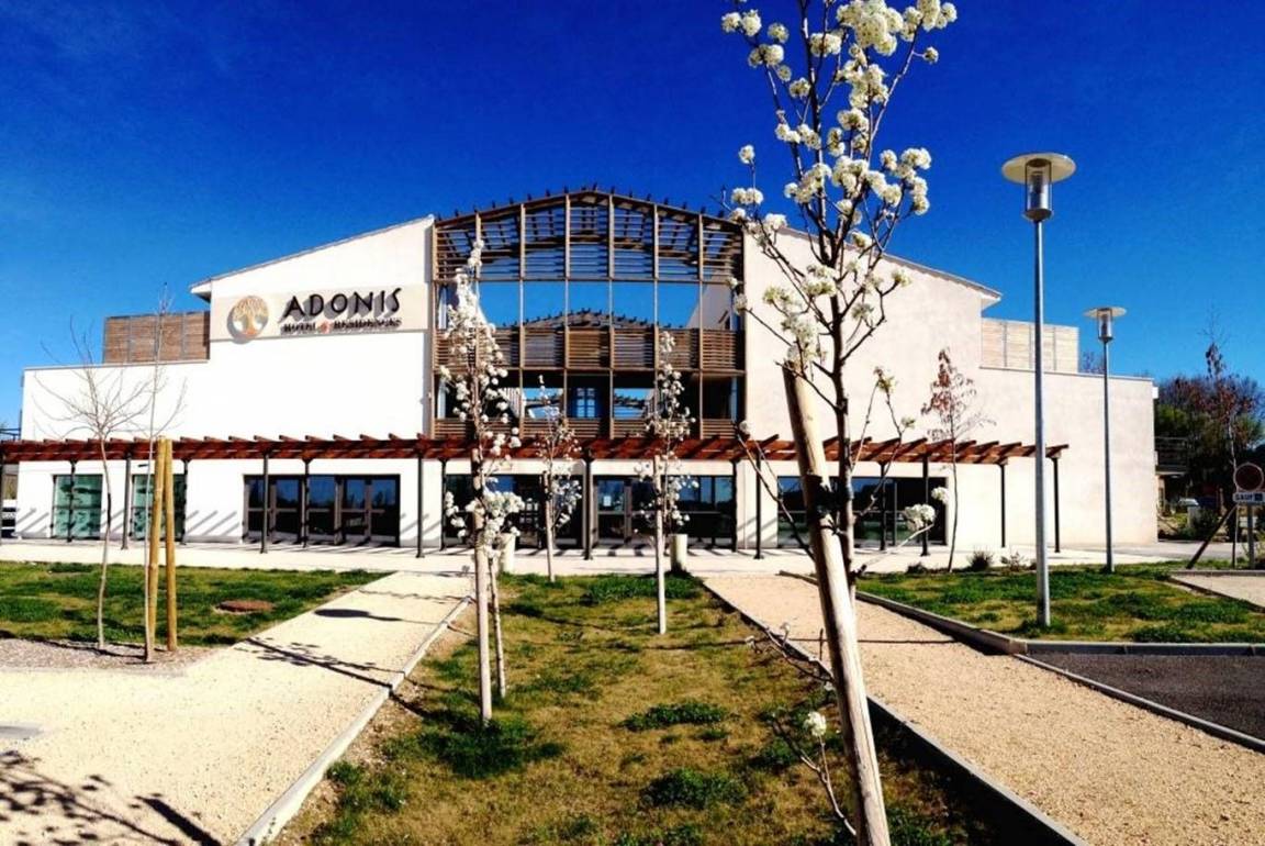 The exterior of a modern building is presented, featuring large glass windows and a distinctive roof structure. Green grass and blooming trees surround the entrance, which is enhanced by a well-maintained walkway. The clear blue sky serves as an inviting backdrop.