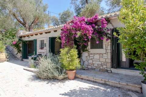 Villa Mevis-Druvio