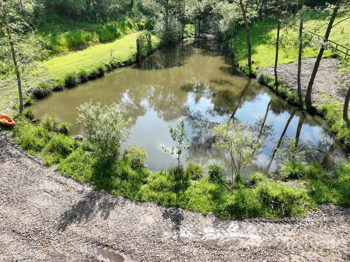 A serene pond is surrounded by lush greenery, with trees reflecting in the calm water. The area features a pebbled pathway leading to the water's edge, inviting peaceful moments outdoors. Natural light enhances the tranquil setting, providing a perfect spot for relaxation or fishing.