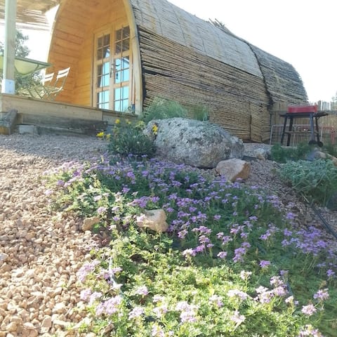 The tiny house su niberalzu