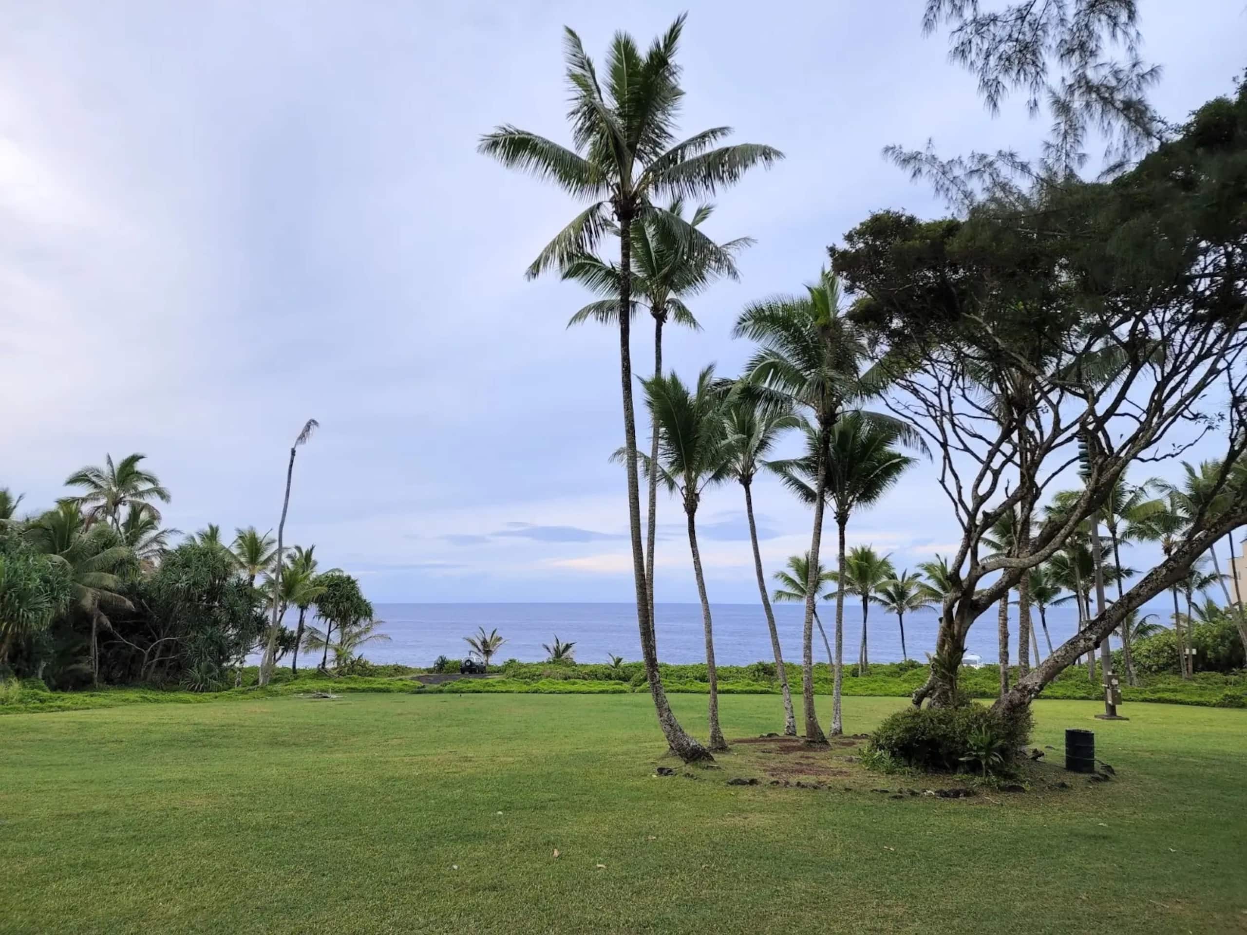 Home in Pahoa · ★4.86 · 2 bedrooms · 2 beds · 1 private bath - Photo 35