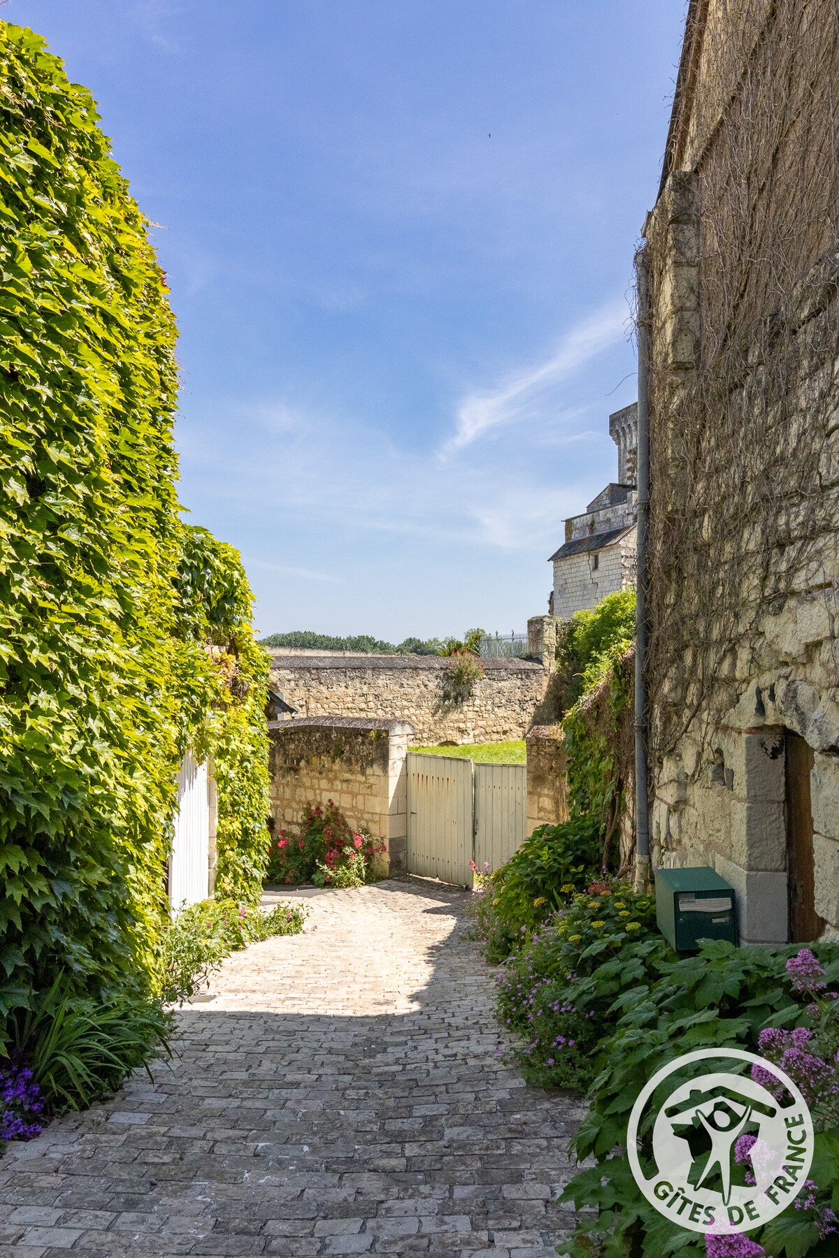 A narrow cobblestone pathway is flanked by lush greenery and stone walls. Flowering plants add color along the sides, leading towards a partially visible gate and a distant building. The sky above is bright with scattered clouds.