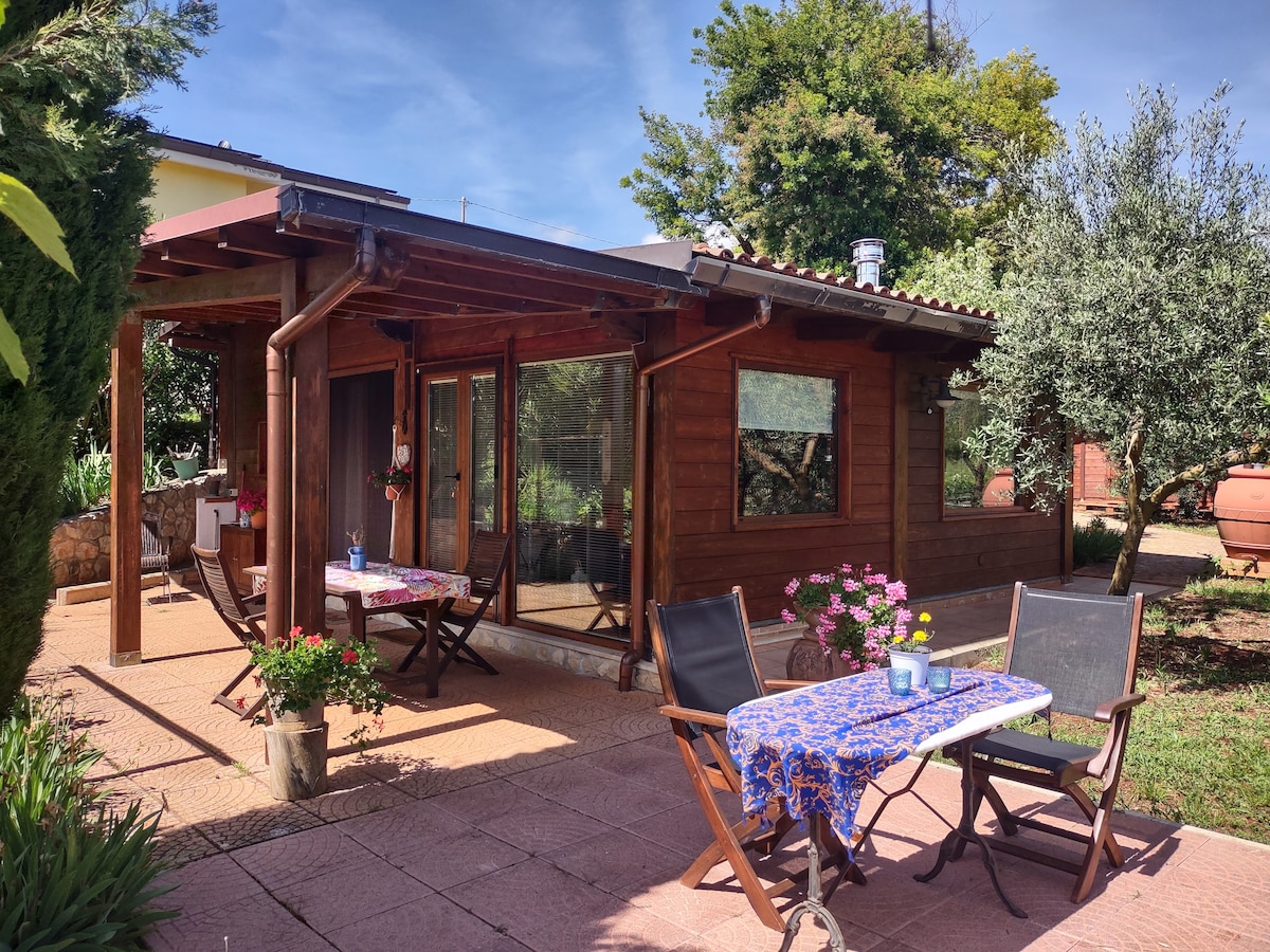 A wooden chalet is framed by lush greenery, featuring a covered terrace adorned with tables set with floral tablecloths. Comfortable chairs and vibrant plants enhance the outdoor space, while large windows offer a view of the garden.