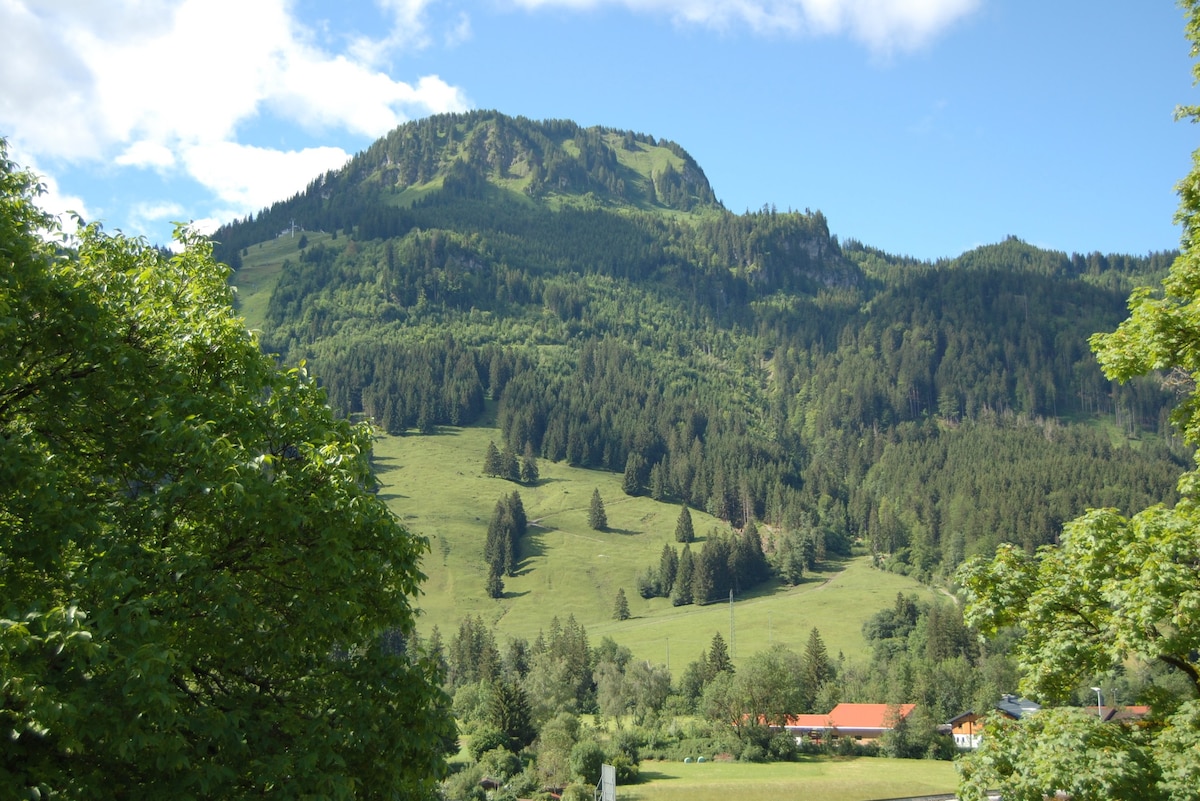 A majestic mountain landscape is captured, showcasing lush green forests and rolling hills. The sky is partly cloudy, allowing sunlight to illuminate the greenery, and a quaint village can be glimpsed in the foreground.
