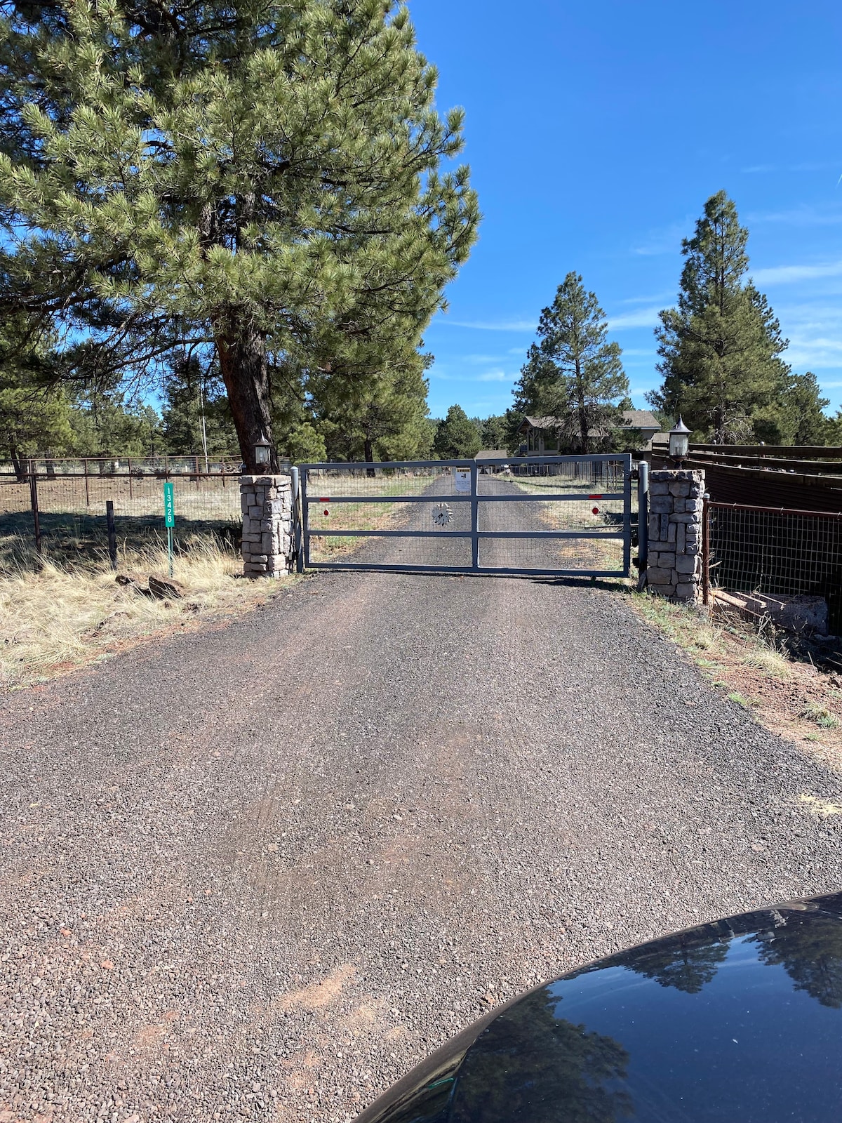 A gated entrance opens onto a gravel driveway leading into a private property. Tall pine trees line the sides, providing a natural border. The distant outline of structures can be glimpsed beyond the gate, indicating a spacious area beyond.