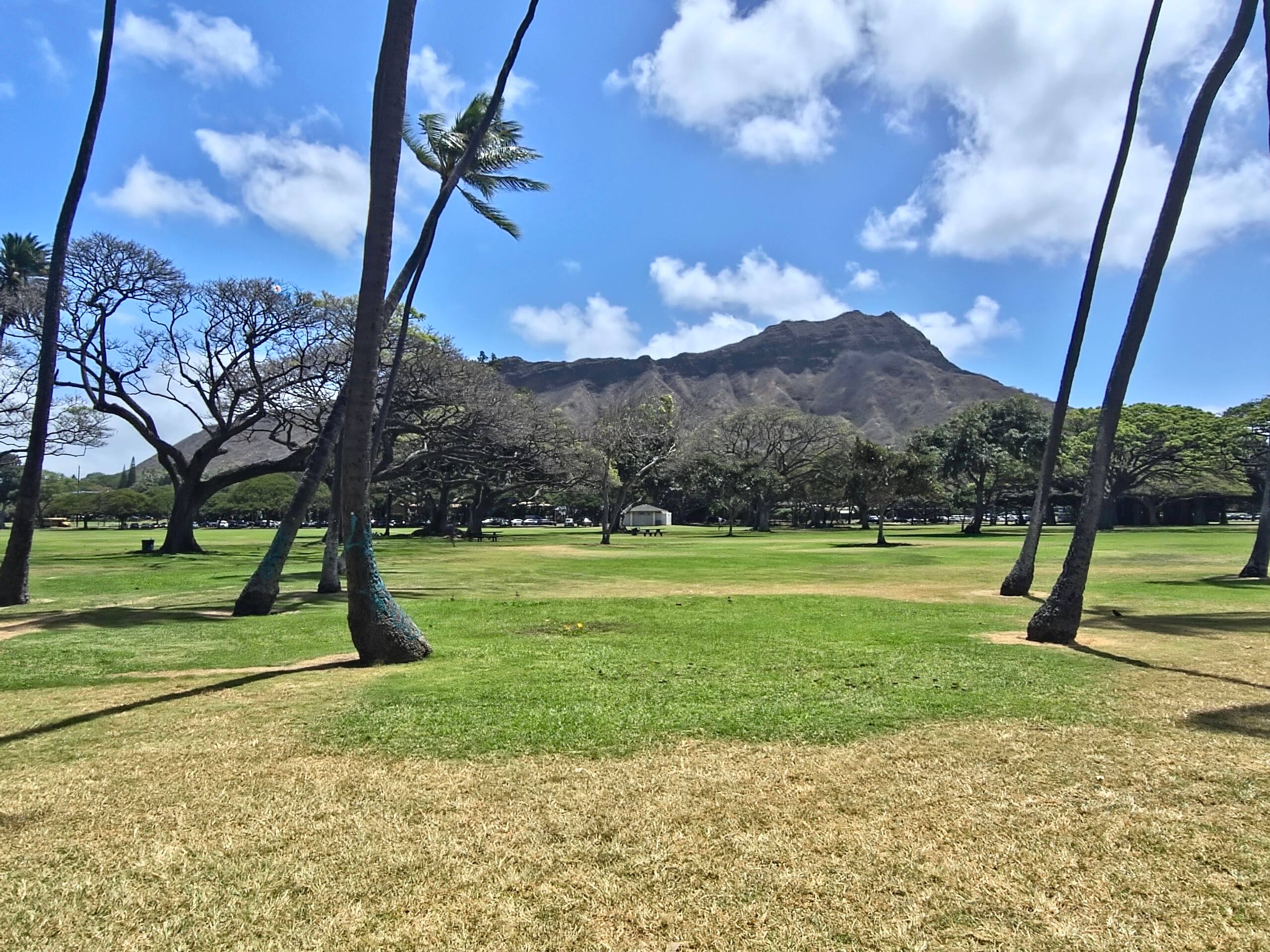 Deluxe Ocean View Free Parking Waikiki 3204-T1 - Image 29