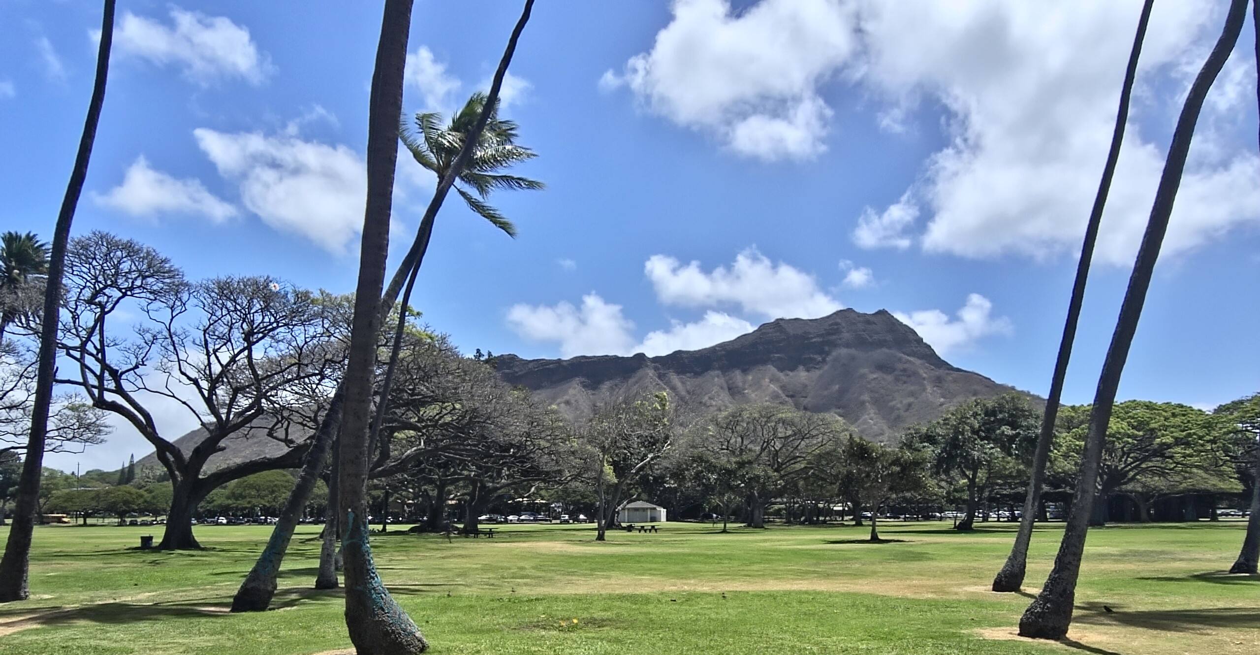 Deluxe Ocean View Free Parking Waikiki 3204-T1 - Image 30