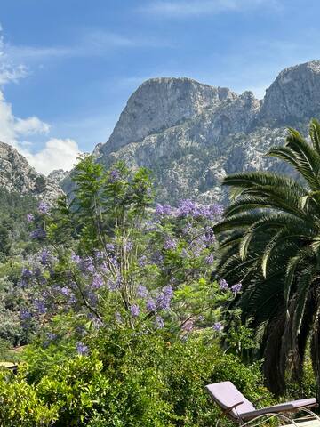 Luxuriously renovated House with Pool in Fornalutx gallery image 5