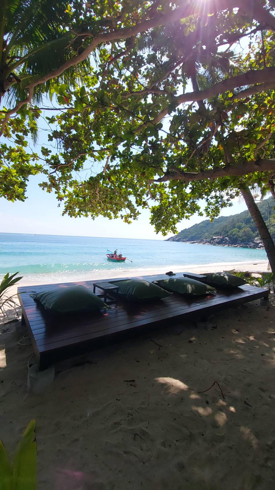 A wooden deck with green cushions is set against a backdrop of the ocean. Gentle waves are visible under a clear blue sky, while a small boat can be seen on the water. Overhead, vibrant green leaves provide shade.