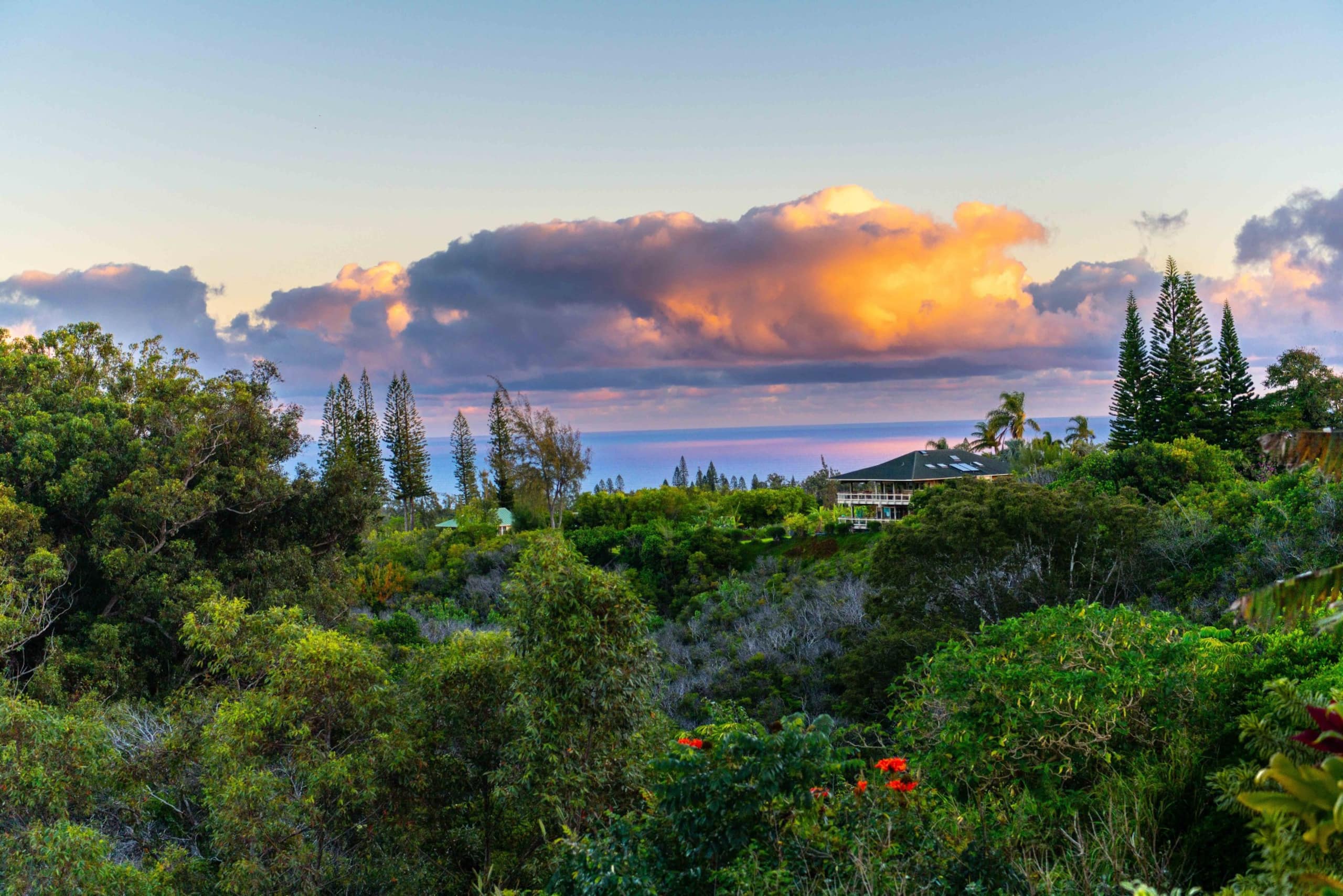Pineapple Cottage Haiku Maui LicBBPH2015/0011 - Photo 1