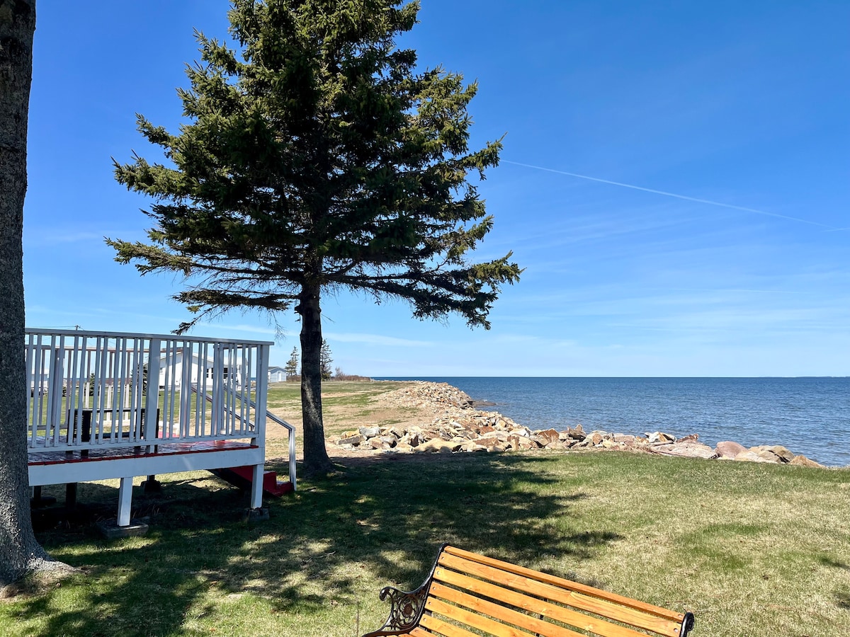 A spacious grassy area is visible beside the shoreline, featuring a large tree that provides shade. A wooden bench faces the water, where a rocky shoreline can be seen. In the background, a deck is situated near the edge, offering views of the expansive sea under a clear blue sky.