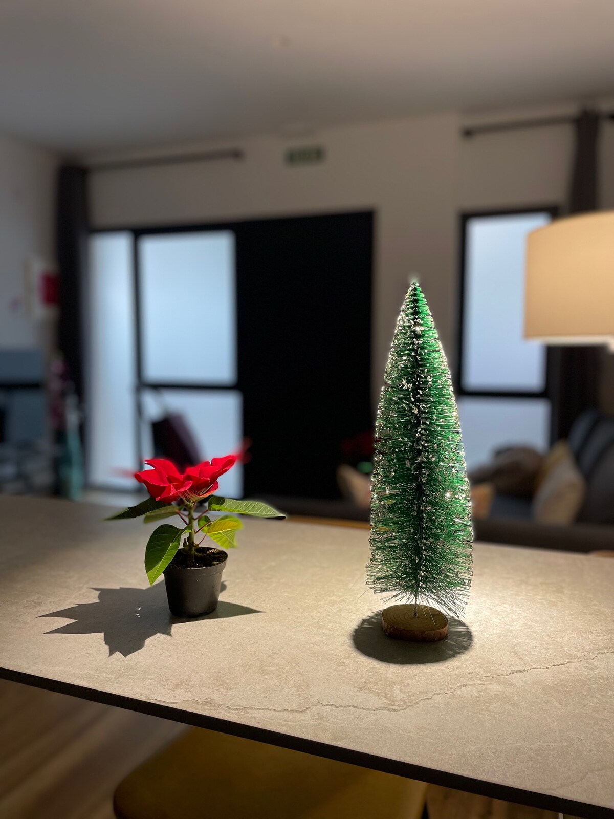 DIMËR
DIMËR
DIMËR
