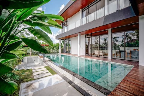 Luxury Spacious Haven Rooftop and Pool Paradise