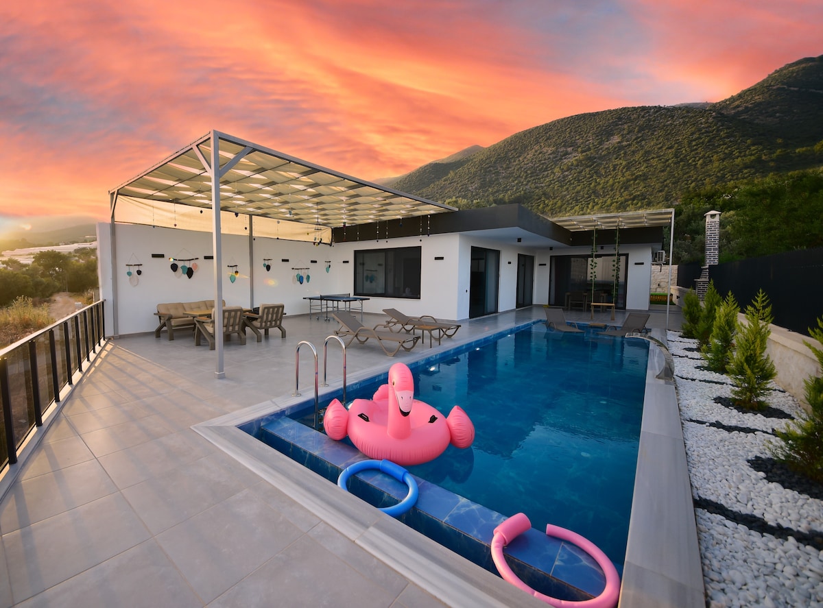A modern villa features a rectangular pool adorned with pink floaties and lounge chairs positioned nearby. A spacious terrace is equipped with a dining area, and a large roof provides shade while offering views of the surrounding landscape and a colorful sunset.
