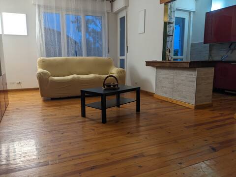 Large and quiet apartment