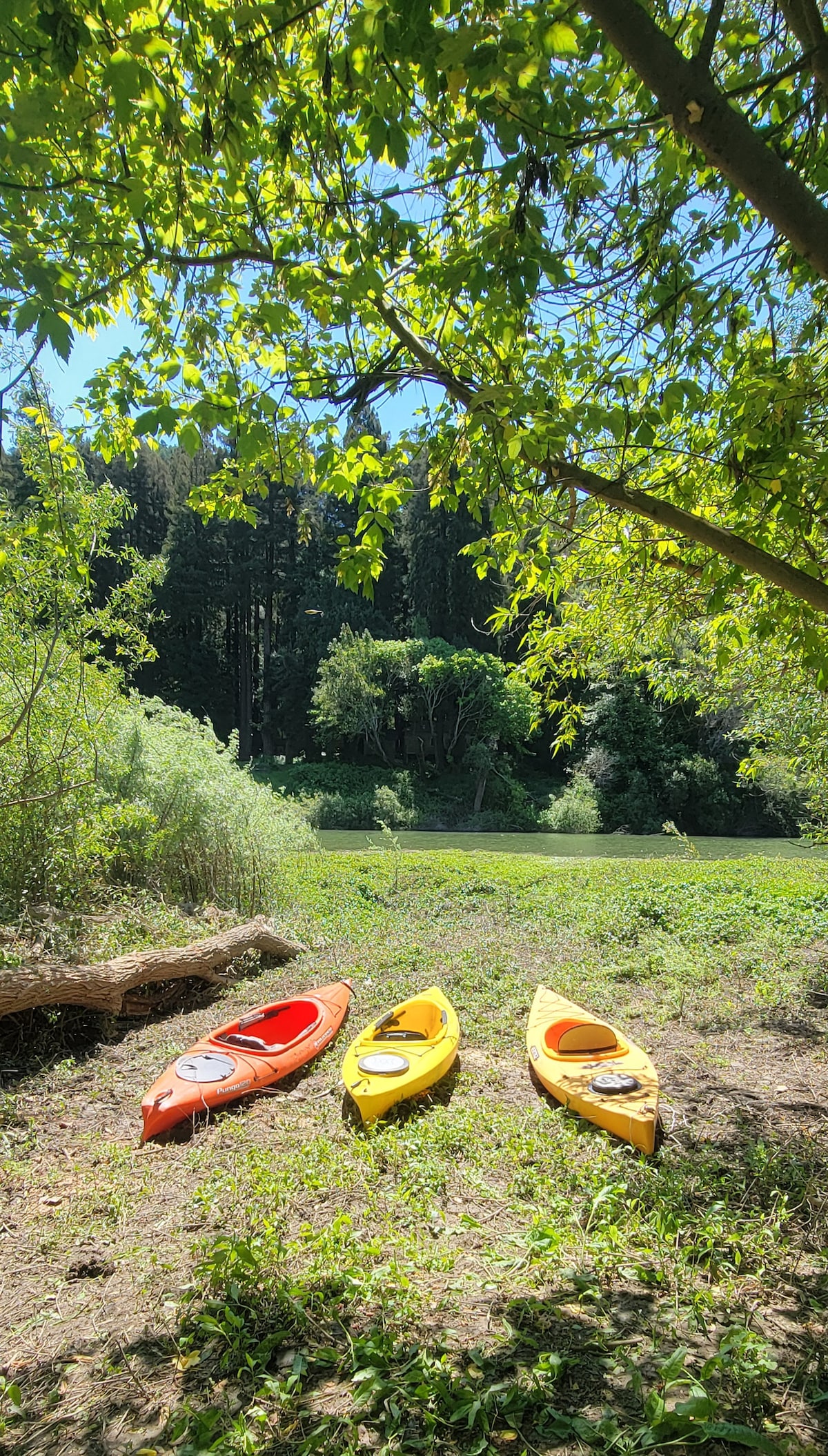 Three kayaks in orange and yellow are positioned on the riverbank, surrounded by lush greenery. The background features a tranquil river and wooded area, with sunlight filtering through the tree leaves, creating a serene outdoor scene.