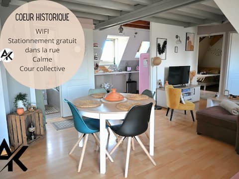 Historic heart - atypical - 10 min from Pau