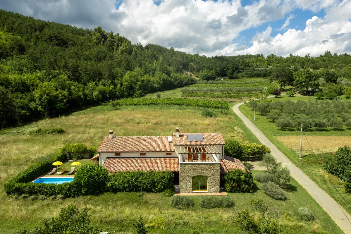 The exterior of the house showcases a charming stone and tile design set against a backdrop of lush green hills. A private pool is visible beside the house, surrounded by manicured landscaping. A pathway leads off into the scenic countryside.