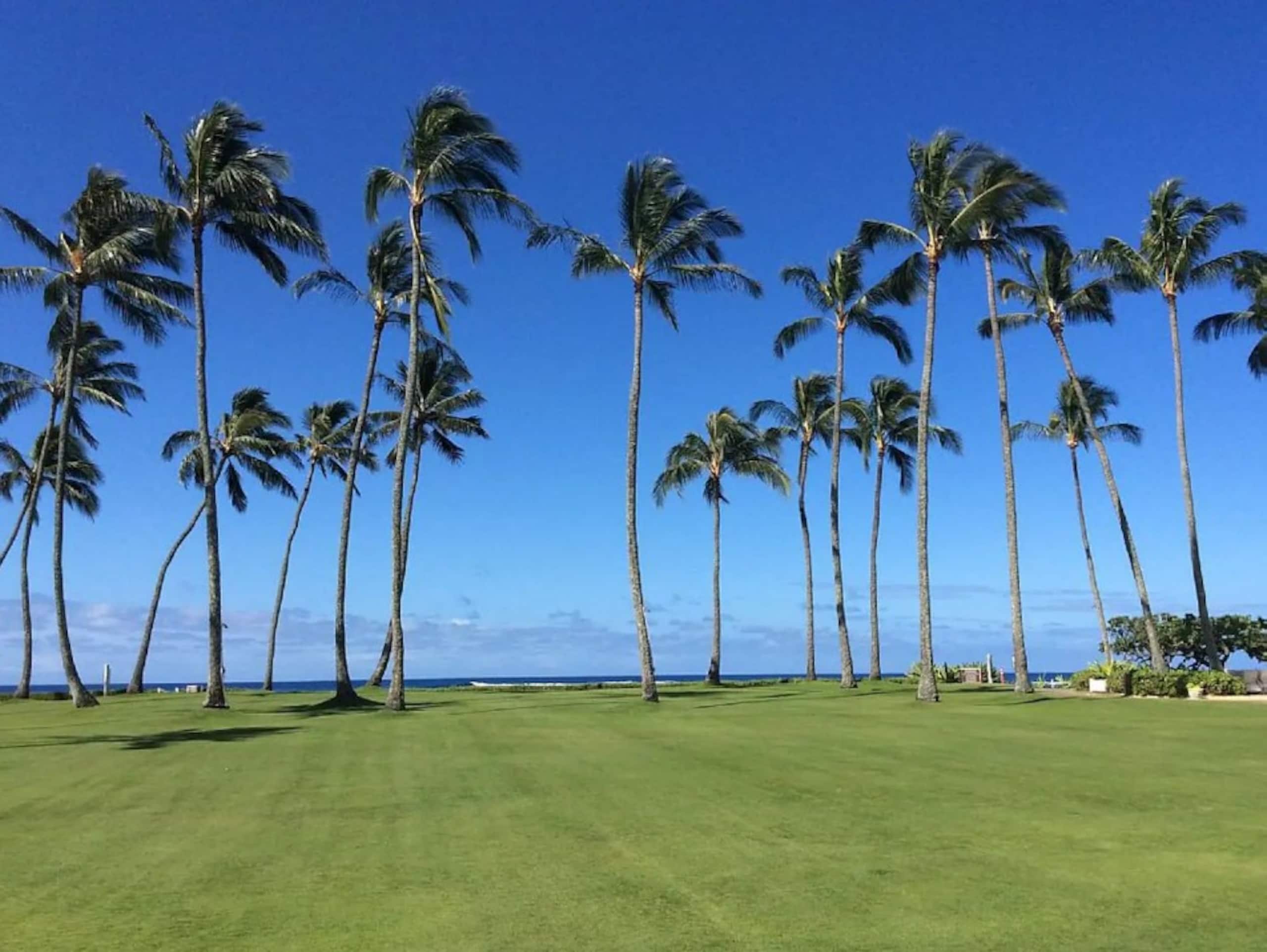 Great Kiahuna Condo on the Beach with A/C - Image 16