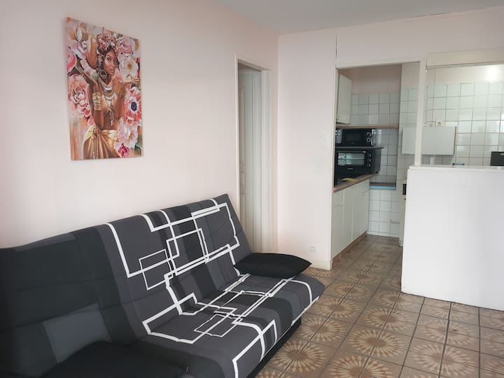 T3 En Centre-ville - Lourdes
