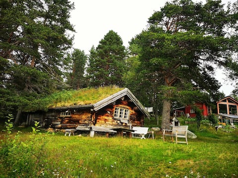 Cottage by the water