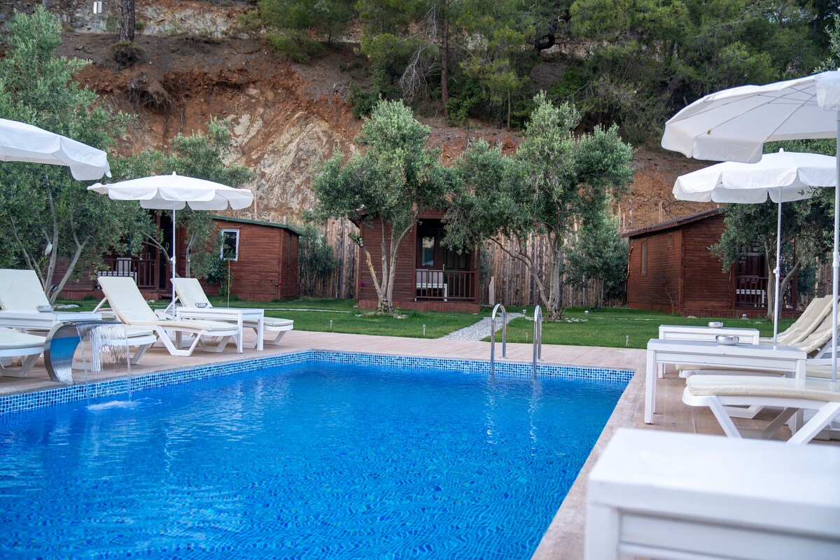 A serene outdoor space features a sparkling blue pool surrounded by sun loungers and umbrellas. Cozy wooden cabins are situated in the background, complemented by lush green landscaping and mature trees, providing a tranquil setting for relaxation.