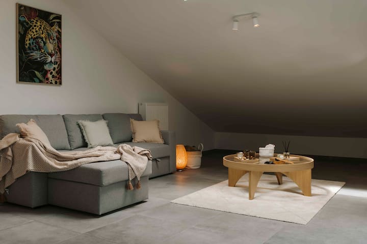 La Cigogne - Nid Cosy, Toit-terrasse & Borne Ev - Neufchâteau