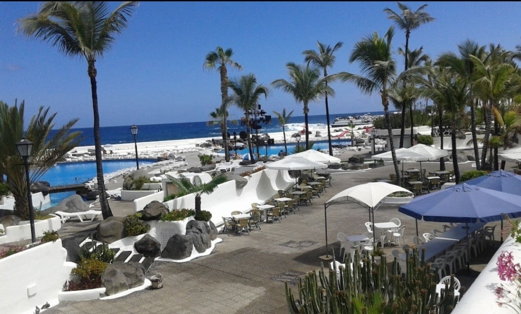 A scenic view captures the outdoor space with palm trees swaying in the breeze, surrounded by pools and beach lounge chairs. Areas of stone pathways curve through manicured landscapes, leading towards the ocean, highlighted by a clear blue sky.